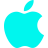 Apple Icon